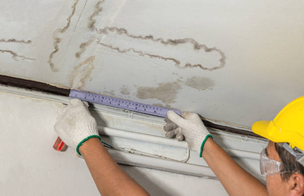 Reliable Water Damage contractor in Gervais, OR by Water Damage Irwin